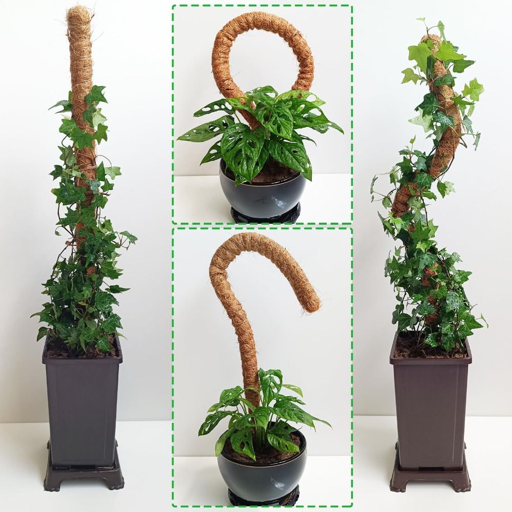 Plant Support Bendable Moss Po - Sphagnum Moss Dry recension och pris