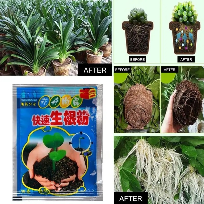 5pcs Fast Rooting Powder Plant - Root Stimulator Liquid recension och pris
